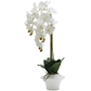 High Quality phalaenopsis orchid artificial flower with ceramic pot for home decoration high simulation